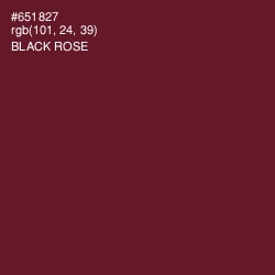 #651827 - Black Rose Color Image
